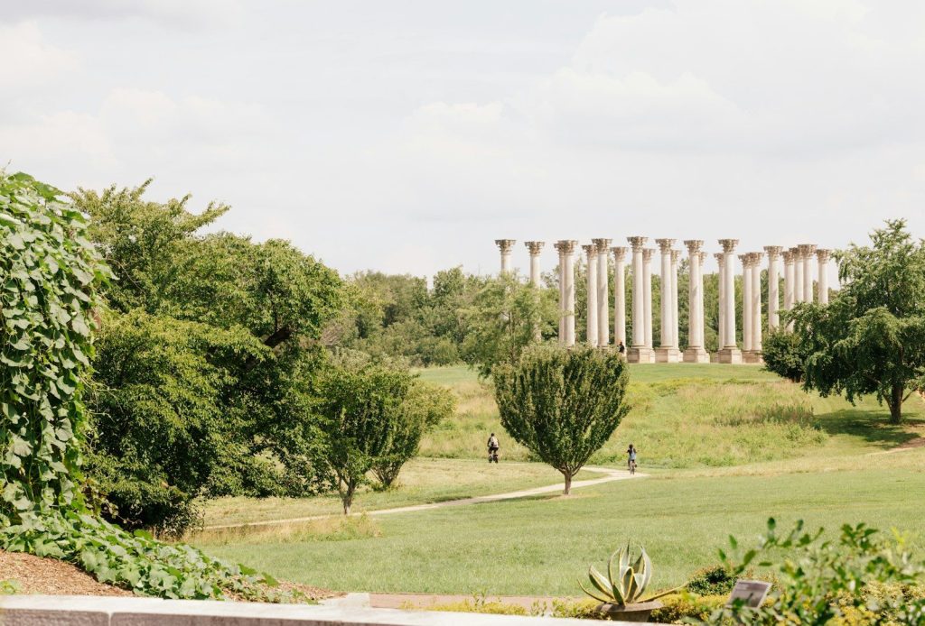 Neoclassical columns in a grassy park