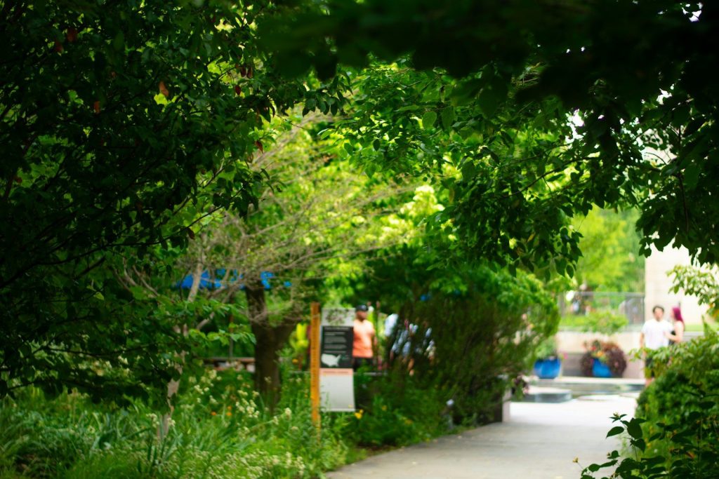 a street sign is shown through the trees