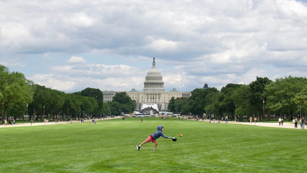 Person playing baseball on the national mall with capitol building.
