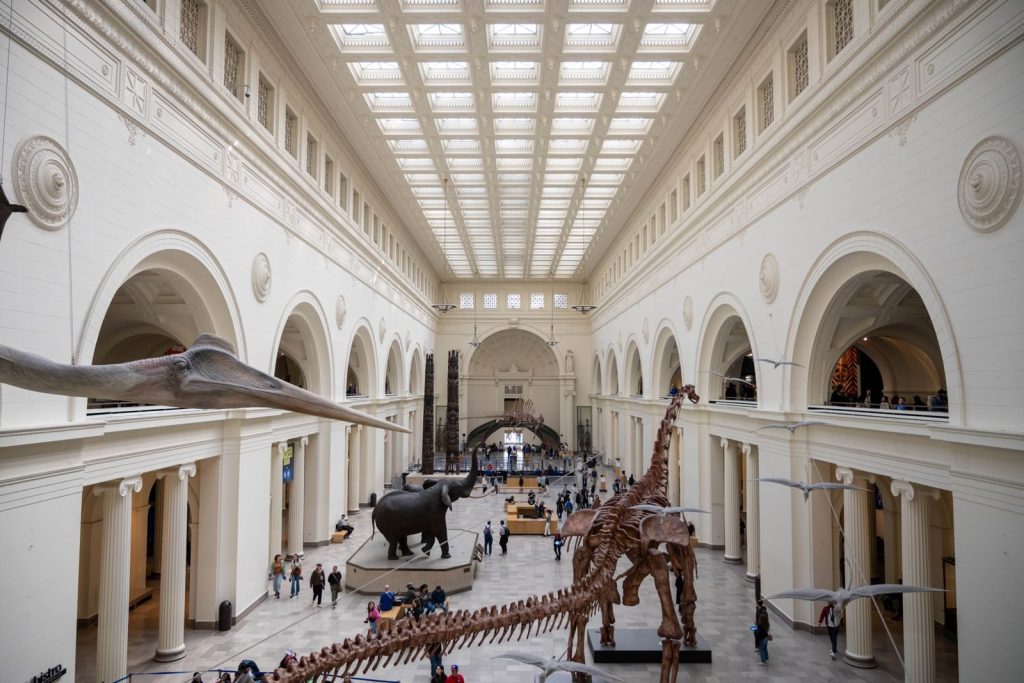 Wide-angle view of dinosaur skeletons at Field Museum, Chicago.